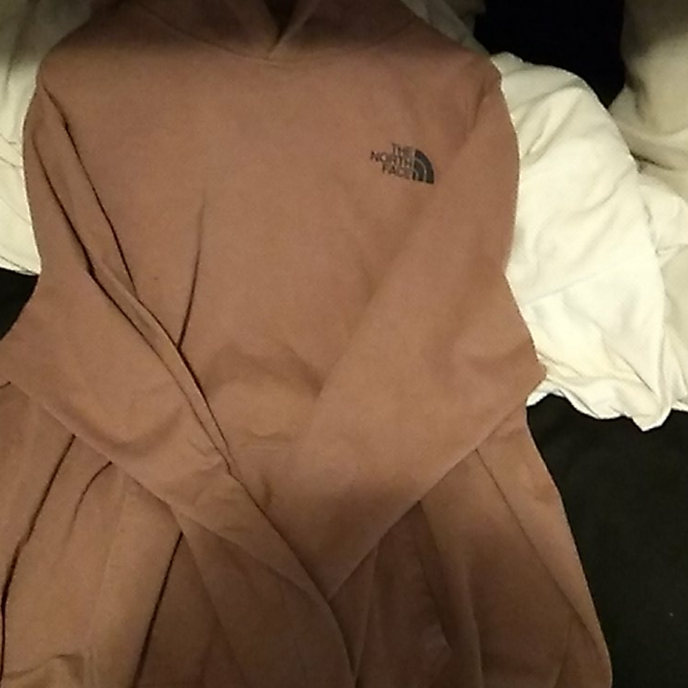 Tan north face hoodie